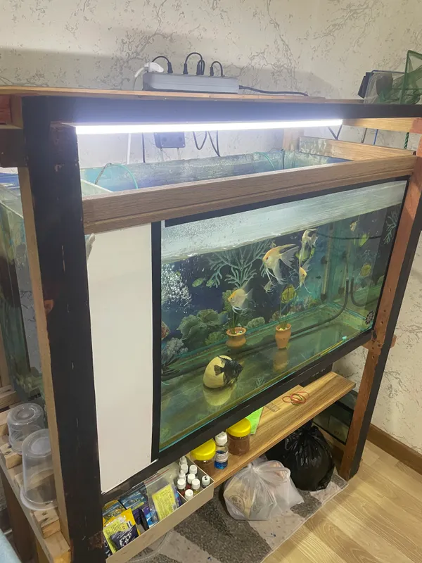 akvarium 210 litr bialogiya joylari bor