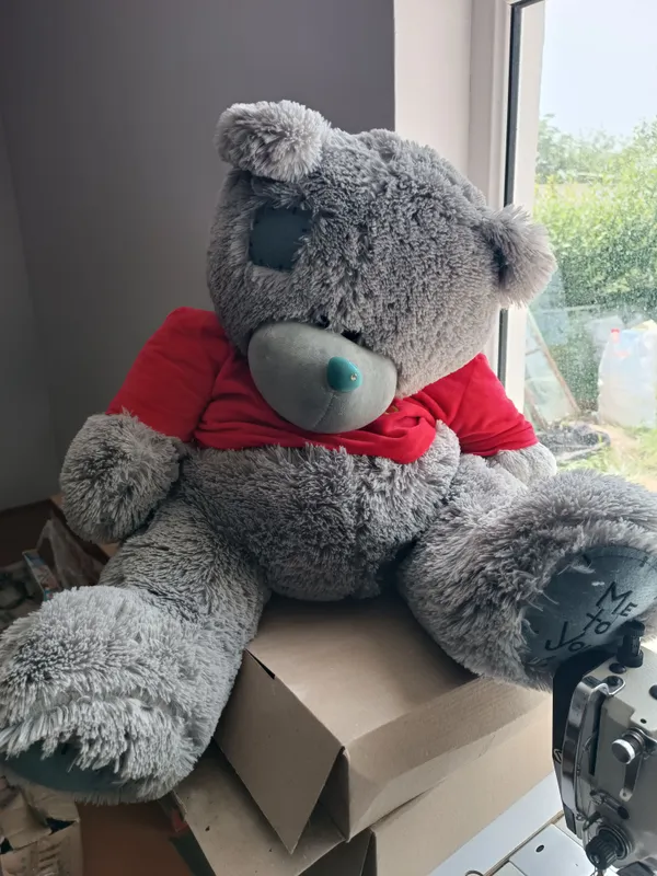 teddy