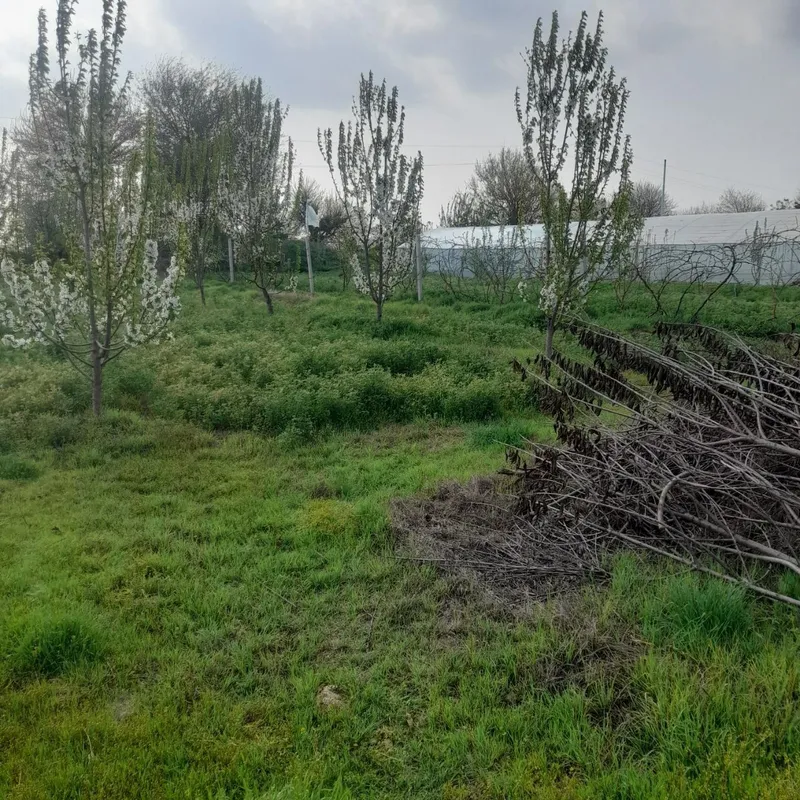 В городе Сырдарья продаётся участок 12 соток 2 В городе Сырдарья продаётся участок 12 соток 2