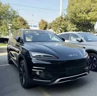 Byd chempion smart halol nasiya 1