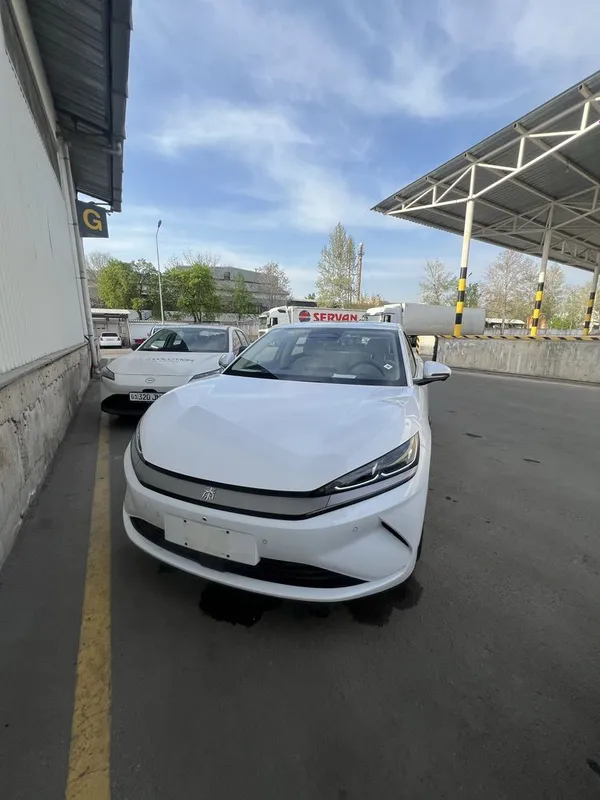 Byd Qin L oq rangi sotuvda