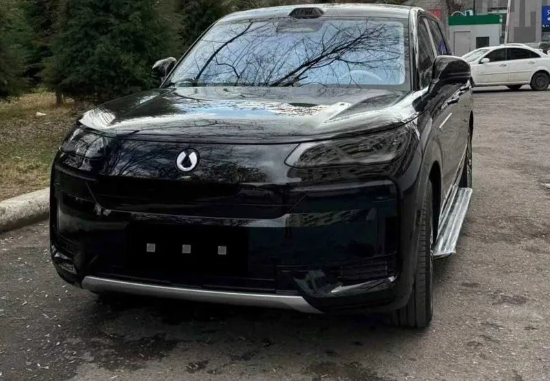 denza n9L maslo rasrochkaga