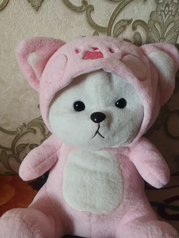ayiqcha