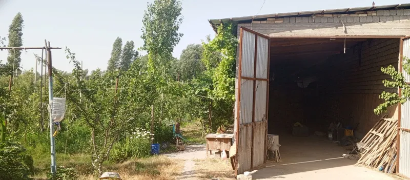 Продается участок - ферма — фото 3