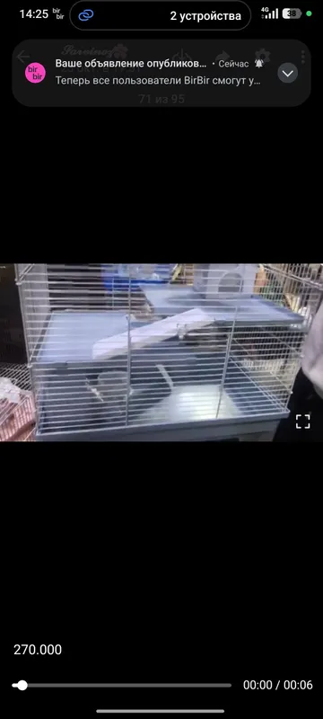 hamyakla uchun qafas sotiladi hamyakla uchun qafas sotiladi
