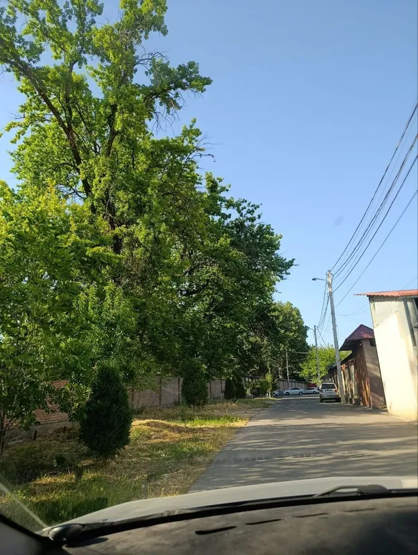 Пррдам участок Мирзоулугбек 40 сот .фасад 40 м. — фото 3