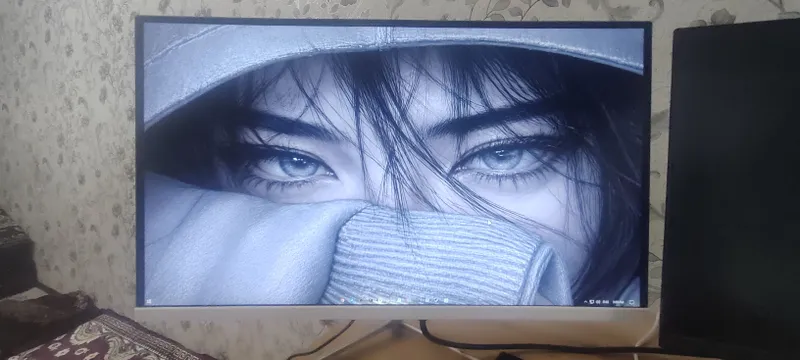 Monitor