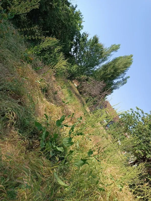 Yuqori Chirchiq yangibozor kavardonda uchastka sotiladi — фото 1