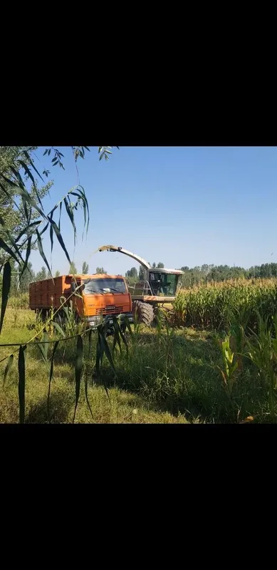 YAGUAR CLAAS 840. xizmati 2 YAGUAR CLAAS 840. xizmati 2