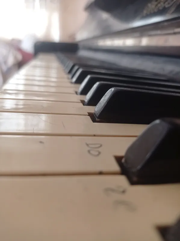 Akkapo piano 4