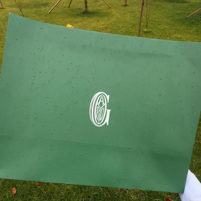 Goyard Artois PM Сумка 7