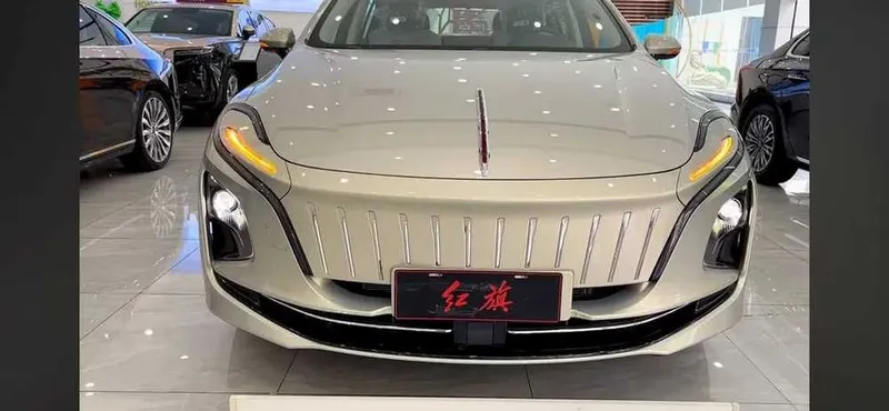 byd Hongqie E qm5 450 dan 610 kmgaca bor — фото 3