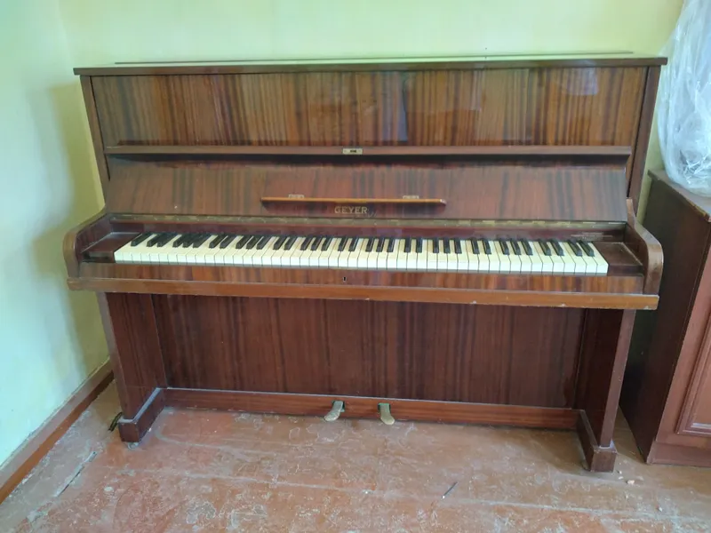 piyanina piyanina