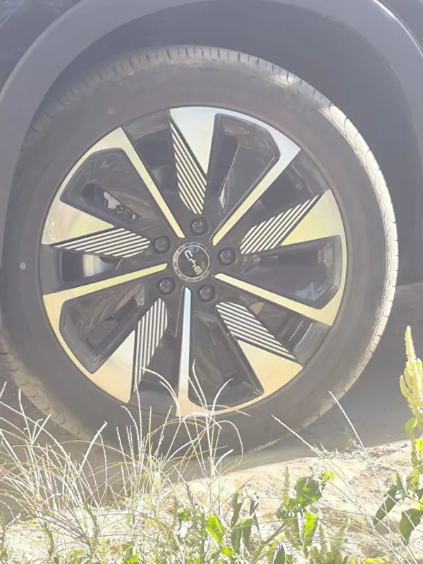 Byd chempion restayling diska Byd chempion restayling diska