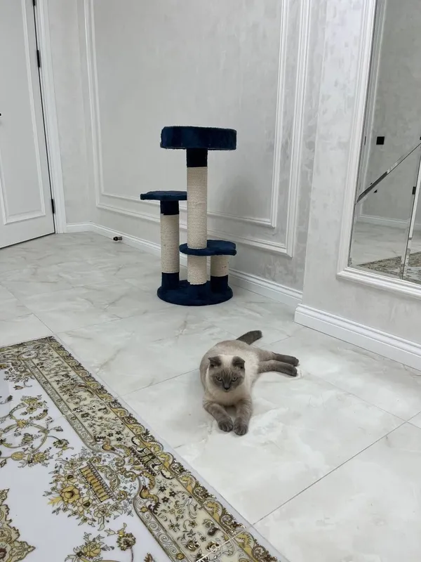 Rechirt Shahrisabz вязка — фото 3