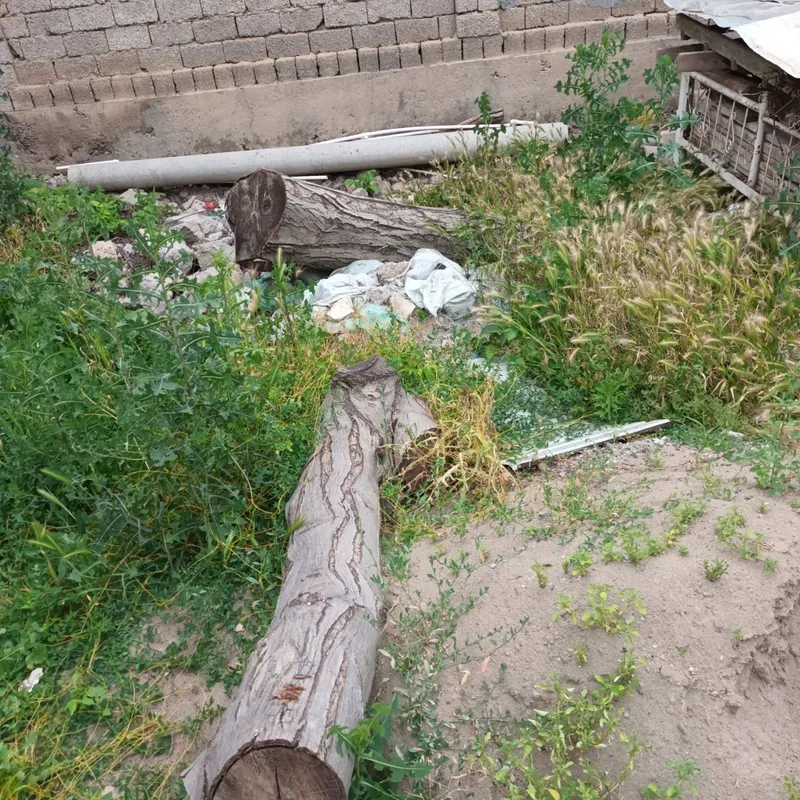 Продаётся ствол Ореха