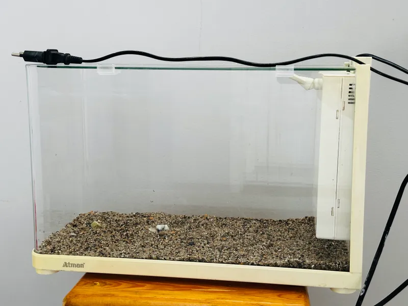 Akvarium SOTILADI! 1
