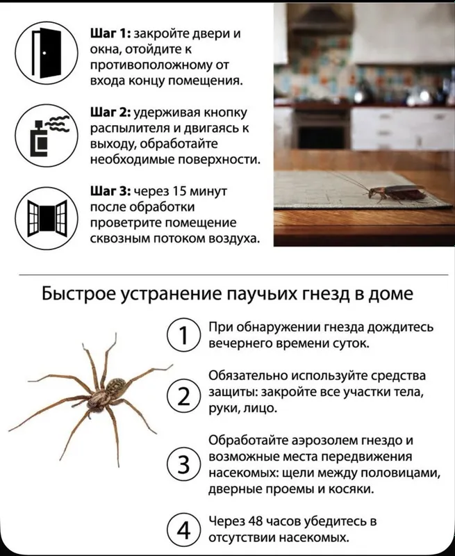Дихлофос Dr Claus уничтожает ползуюших и летаюших насекомых — фото 2