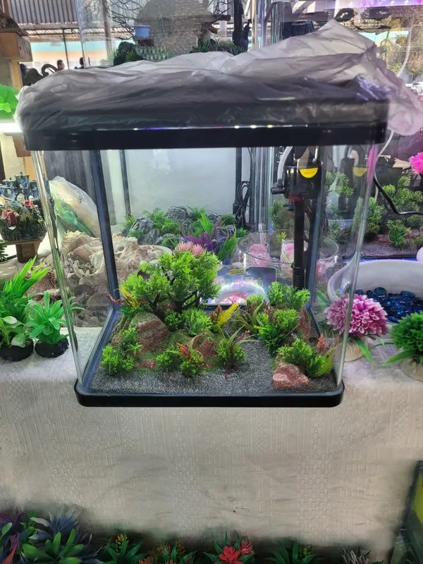 18 litrli akvarium 2