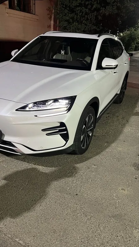 Byd champion Ev 2024 1