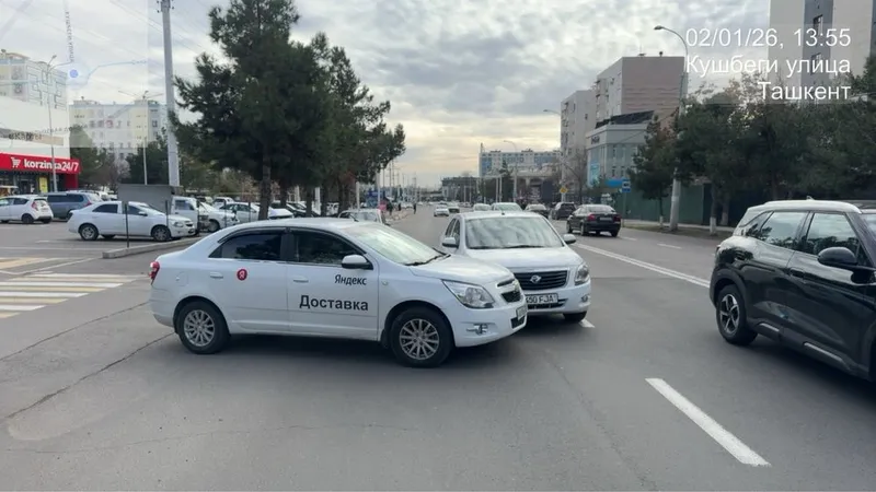 Европратакол 24/7 5 Европратакол 24/7 5