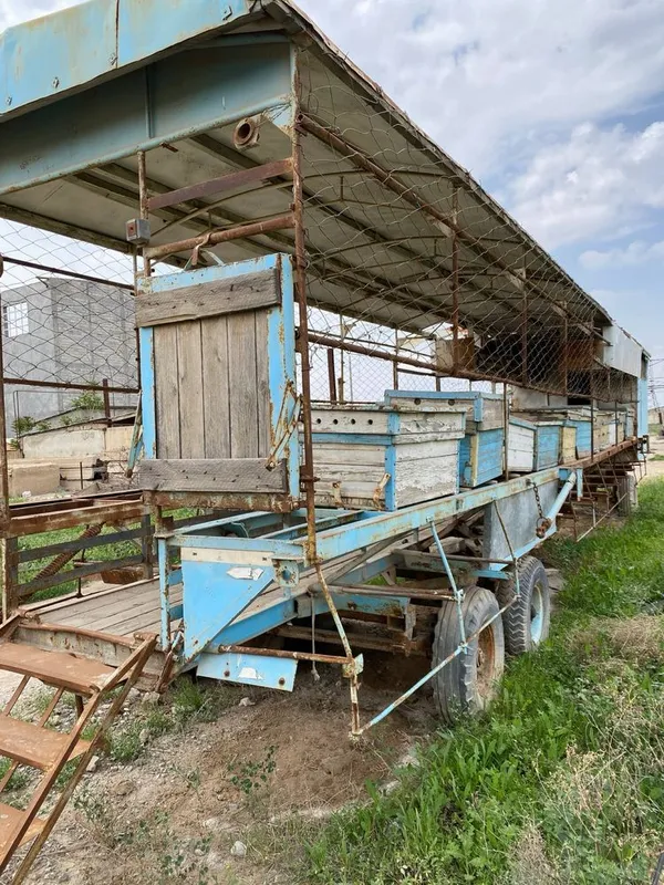 Вагон, тележка для пчёл. Asalarilar uchun vagon (arava). 5 Вагон, тележка для пчёл. Asalarilar uchun vagon (arava). 5