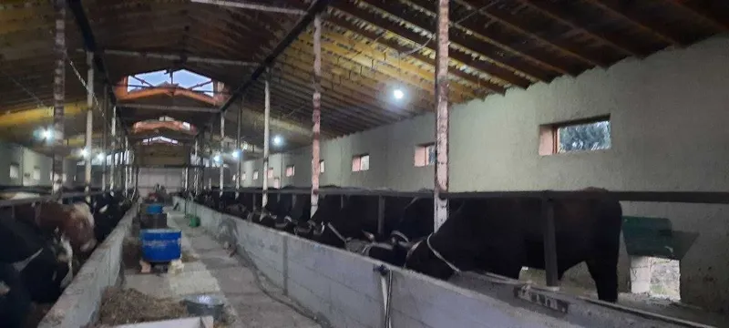 Tayyor Biznes! Daromad Keltiruvchi Ferma Sotiladi! — фото 4