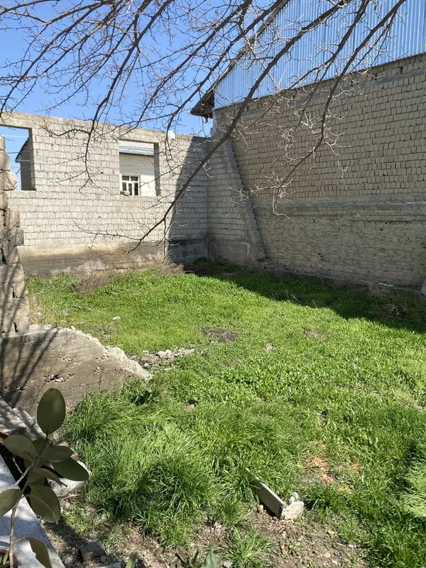 4 сутих буш йер сотилади срочно!!