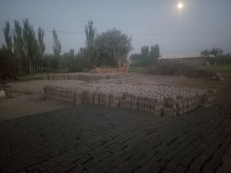 Хом Гишт стандарт — фото 3
