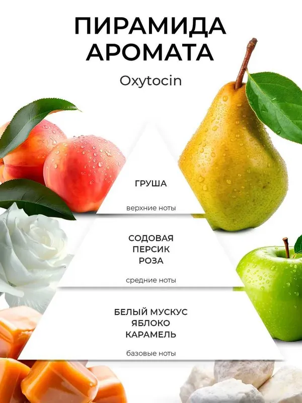 Набор аромадиффузоров AROMATHEQUE "Гормоны счастья" (4х50 мл.) — фото 6 Набор аромадиффузоров AROMATHEQUE "Гормоны счастья" (4х50 мл.) — фото 6