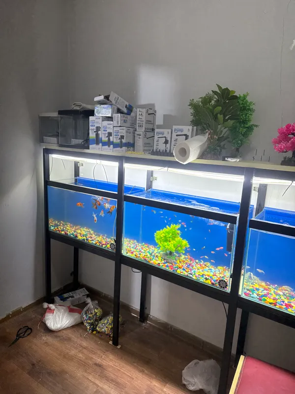 Baliqlar va akvarumlar suv filtrlar va baliq yem — фото 1