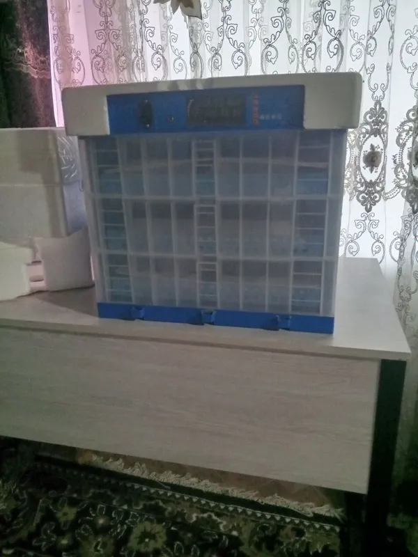 Inkubator sotiladi holati idiyal 3