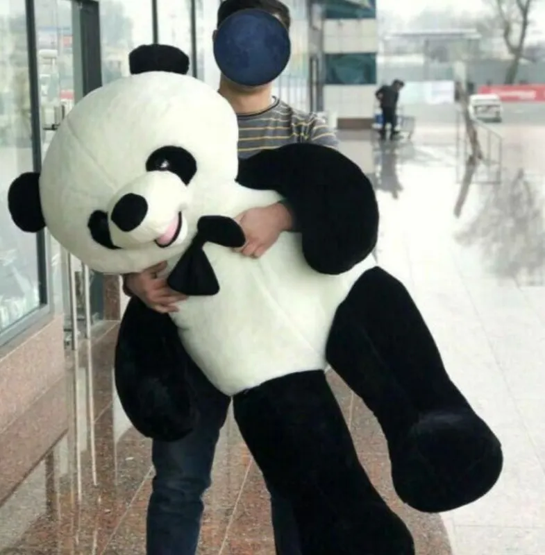 Panda ayiq teddi panda Panda ayiq teddi panda