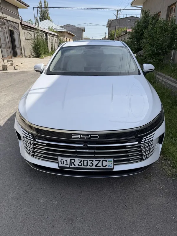 BYD chazor kraska toza 55 tali