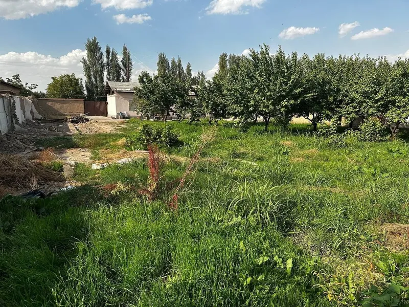 Продаётся земельный участок Дурмень, Аргин, Кибрайский район