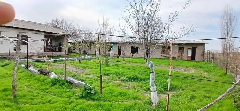 Yer sotiladi ikki honali uy yonida alohida karobka 5ta hona solingan — фото 2