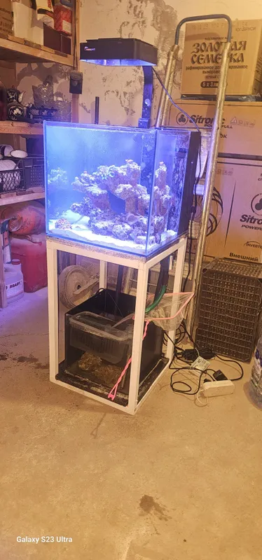 Akvarium marskoy