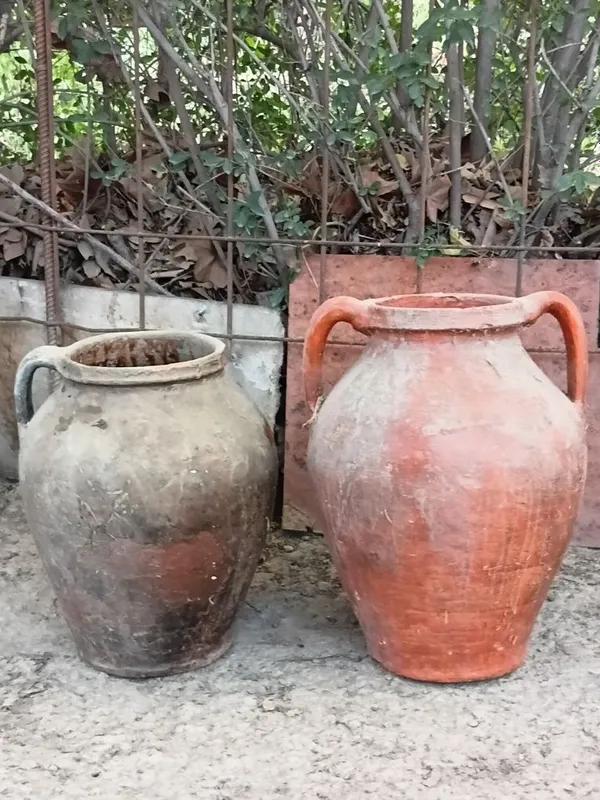 Kuza bor savetski 1 Kuza bor savetski 1