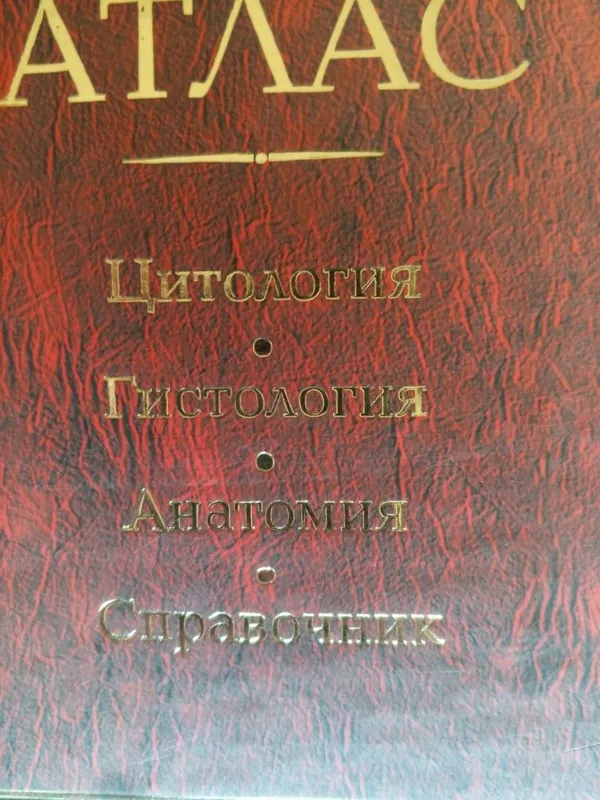 Анатомия человека сотилади — фото 1