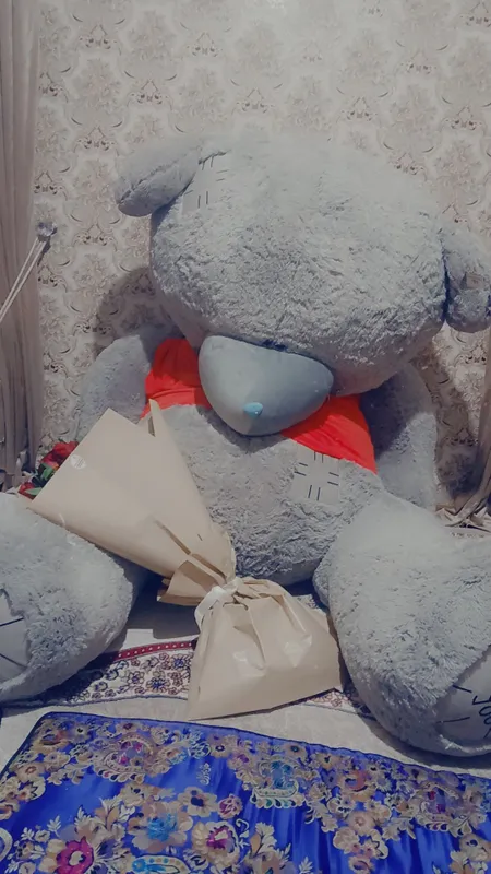 Teddiy Teddiy