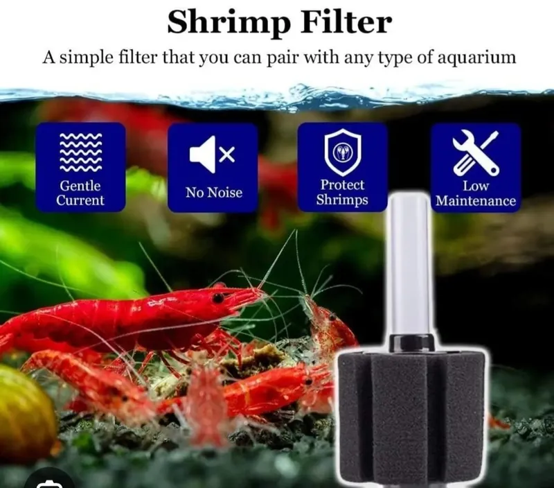 Xavo bergich Sobo A-333A, sponge filter SB-933 4