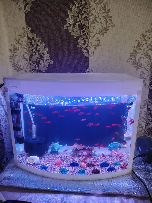 Akvarium 30Litr komplekt