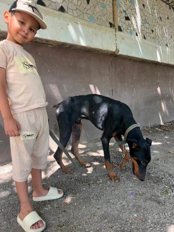 erke lavzi bilan chiroyli 1 erke lavzi bilan chiroyli 1