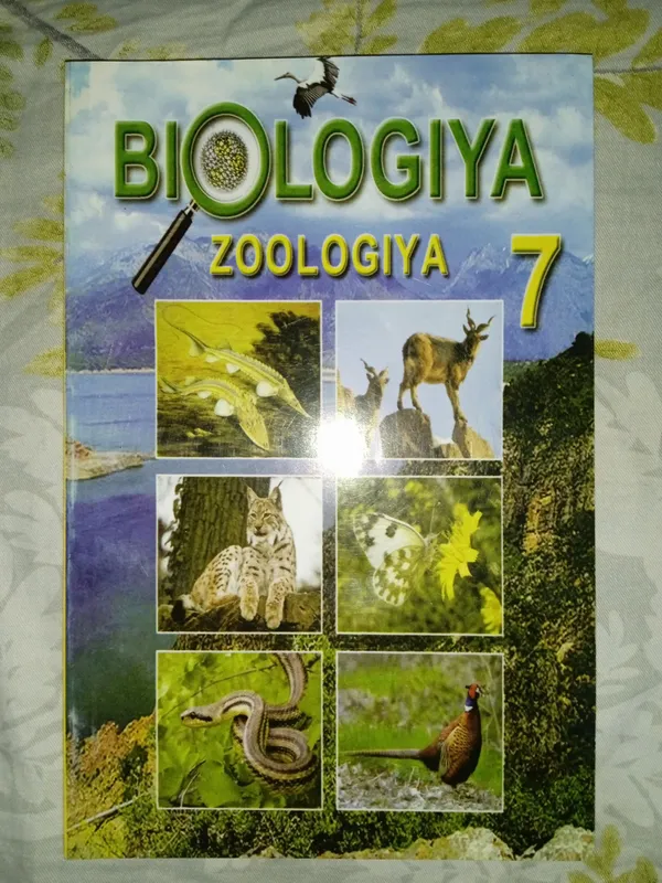 Книга Книга