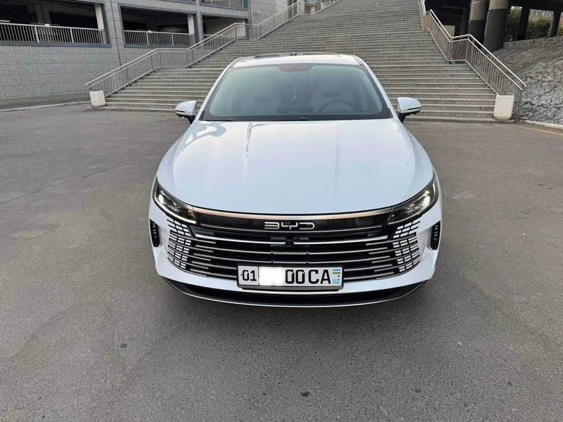 BYD Chazor Comfort 120 km 4 BYD Chazor Comfort 120 km 4