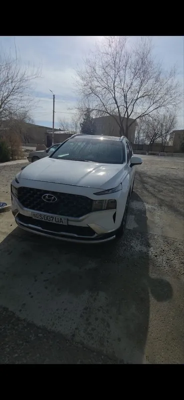 Hyundai Santafe 2.5l — фото 2
