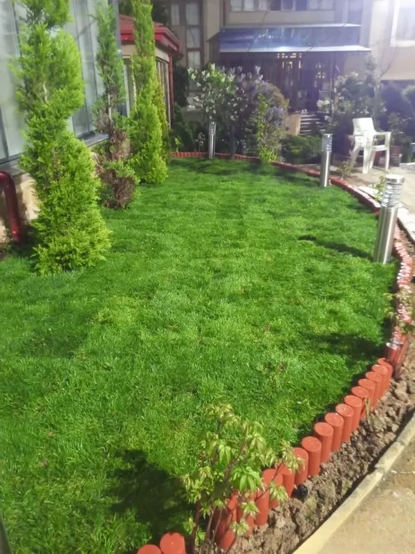 Lanshaf Archa kesish gazon ekish xizmati 2 Lanshaf Archa kesish gazon ekish xizmati 2