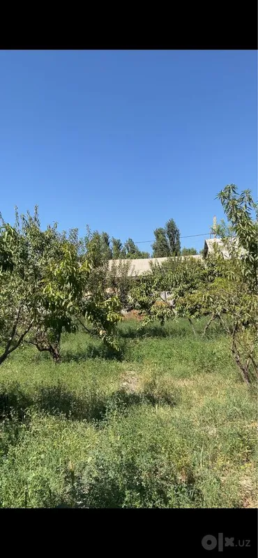 Bogdod tumani Maylavoy qishlogi 10 sotixli yerimiz sotiladi 1 Bogdod tumani Maylavoy qishlogi 10 sotixli yerimiz sotiladi 1