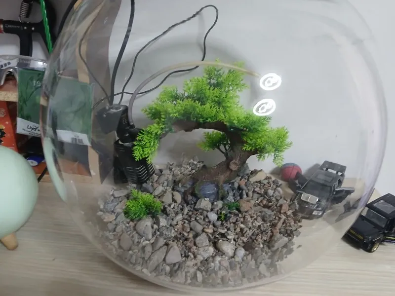 Agar akvarium sotib olsangiz, sovg‘a sifatida yana 5 litrli 1 ta beriladi 7 Agar akvarium sotib olsangiz, sovg‘a sifatida yana 5 litrli 1 ta beriladi 7