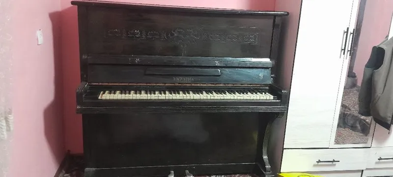 Klassik pianino Ukraina — фото 1